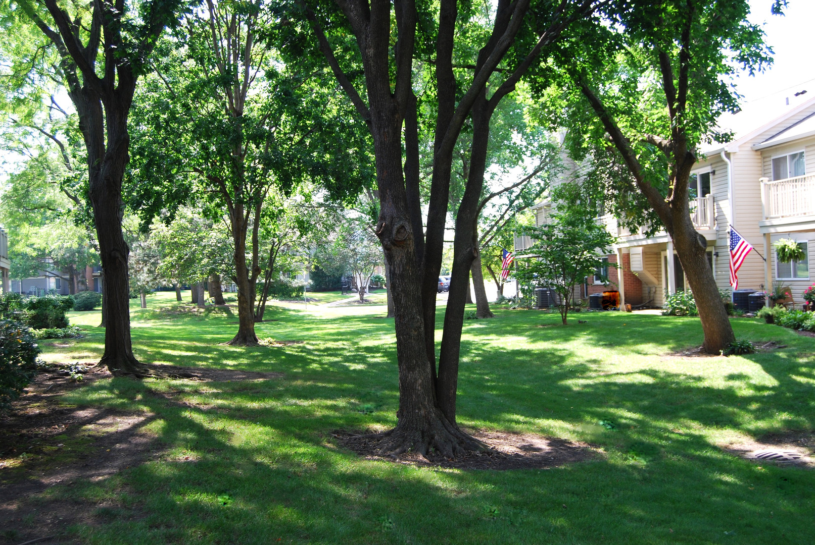 1602 Brittany Court D1 Property Photo 23