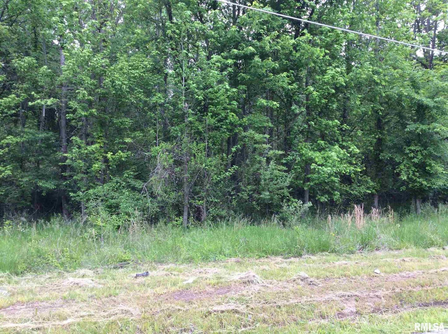 11530 N 28th Street Property Photo 6