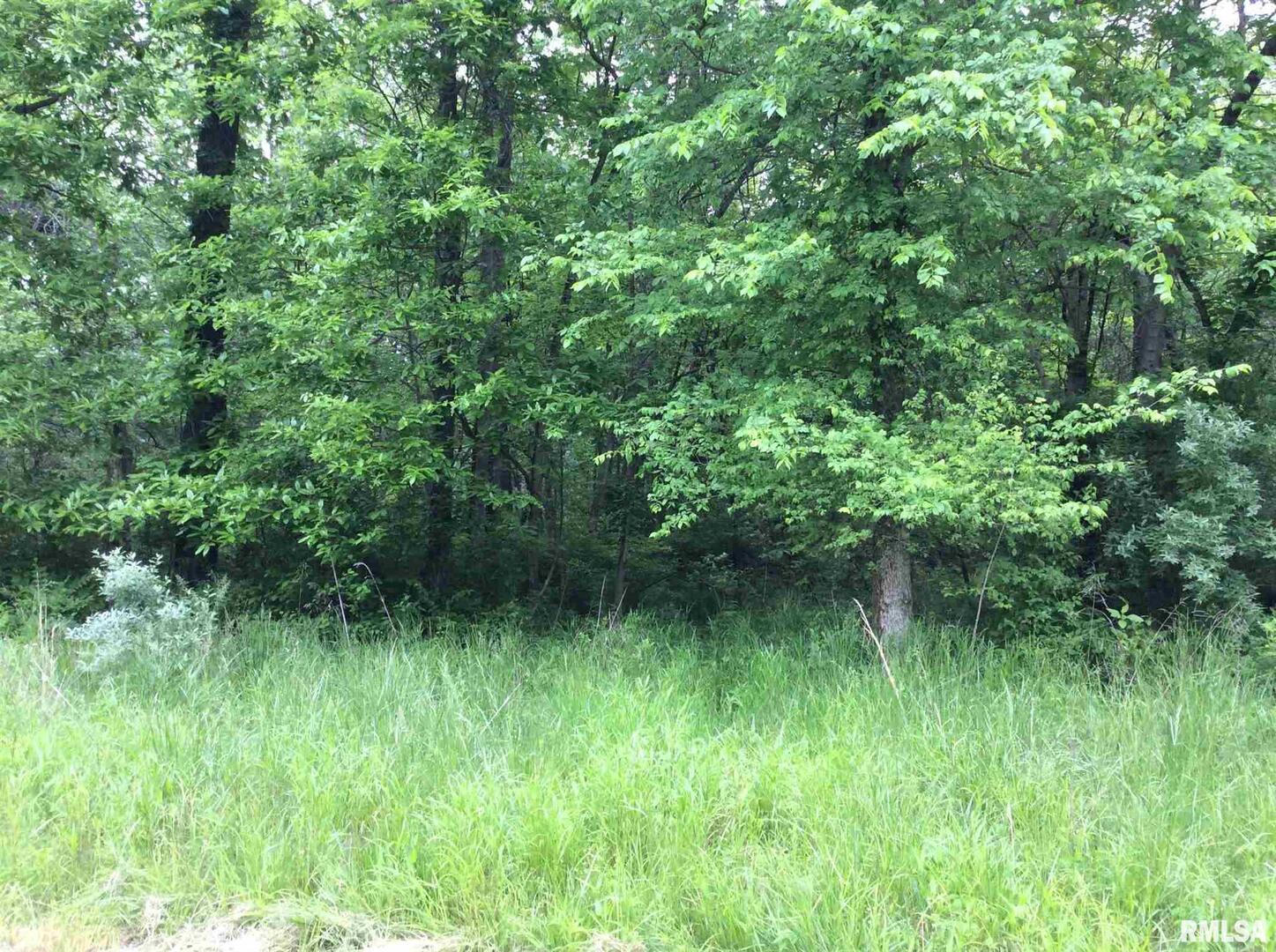 11530 N 28th Street Property Photo 8