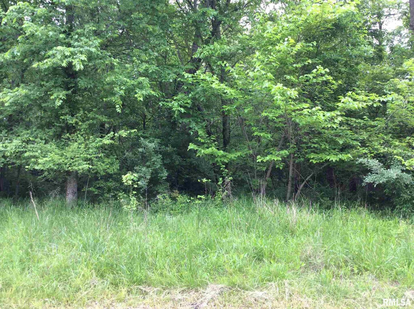 11530 N 28th Street Property Photo 10