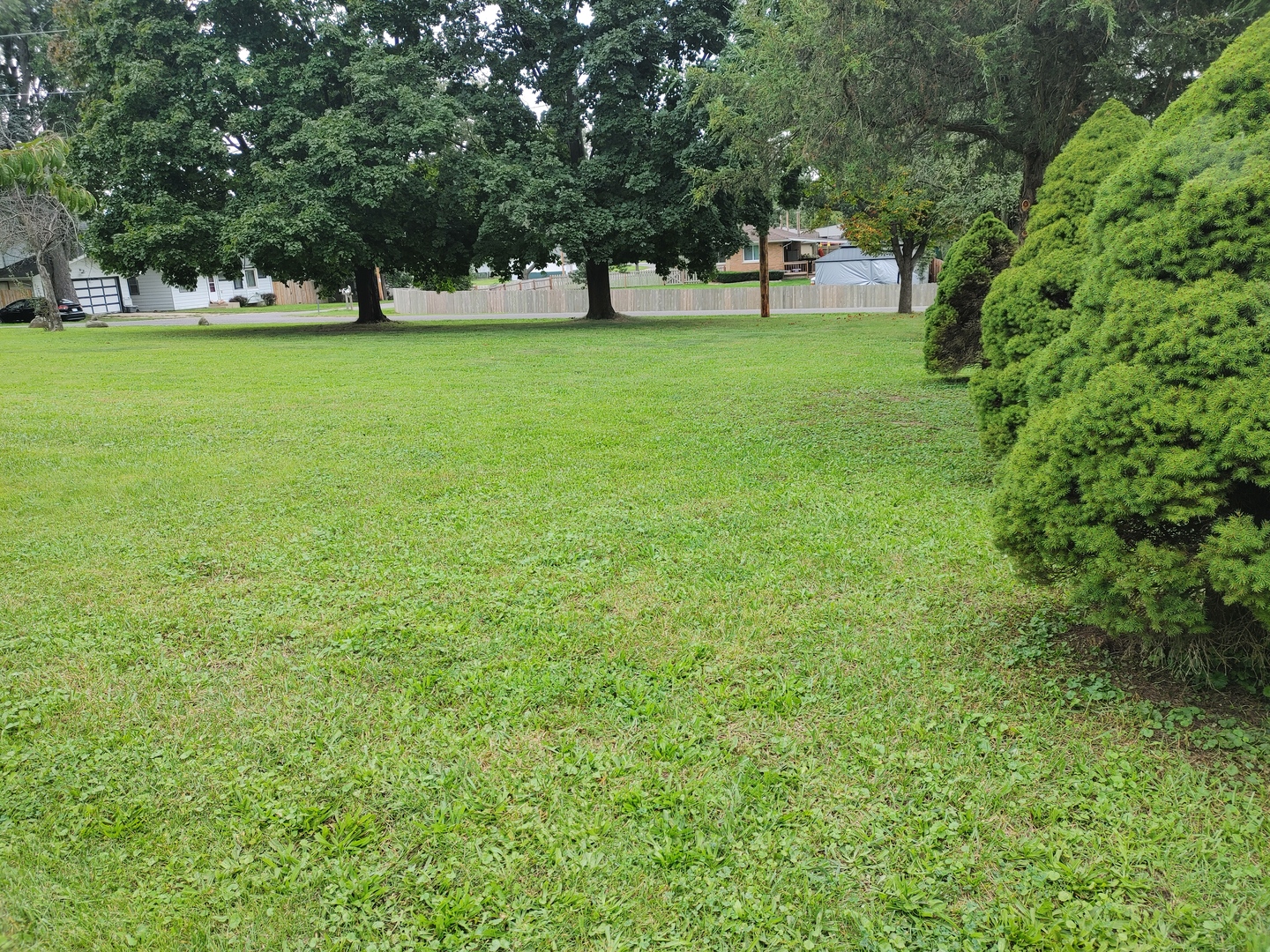 Lot 2 Pine Road Property Photo 2