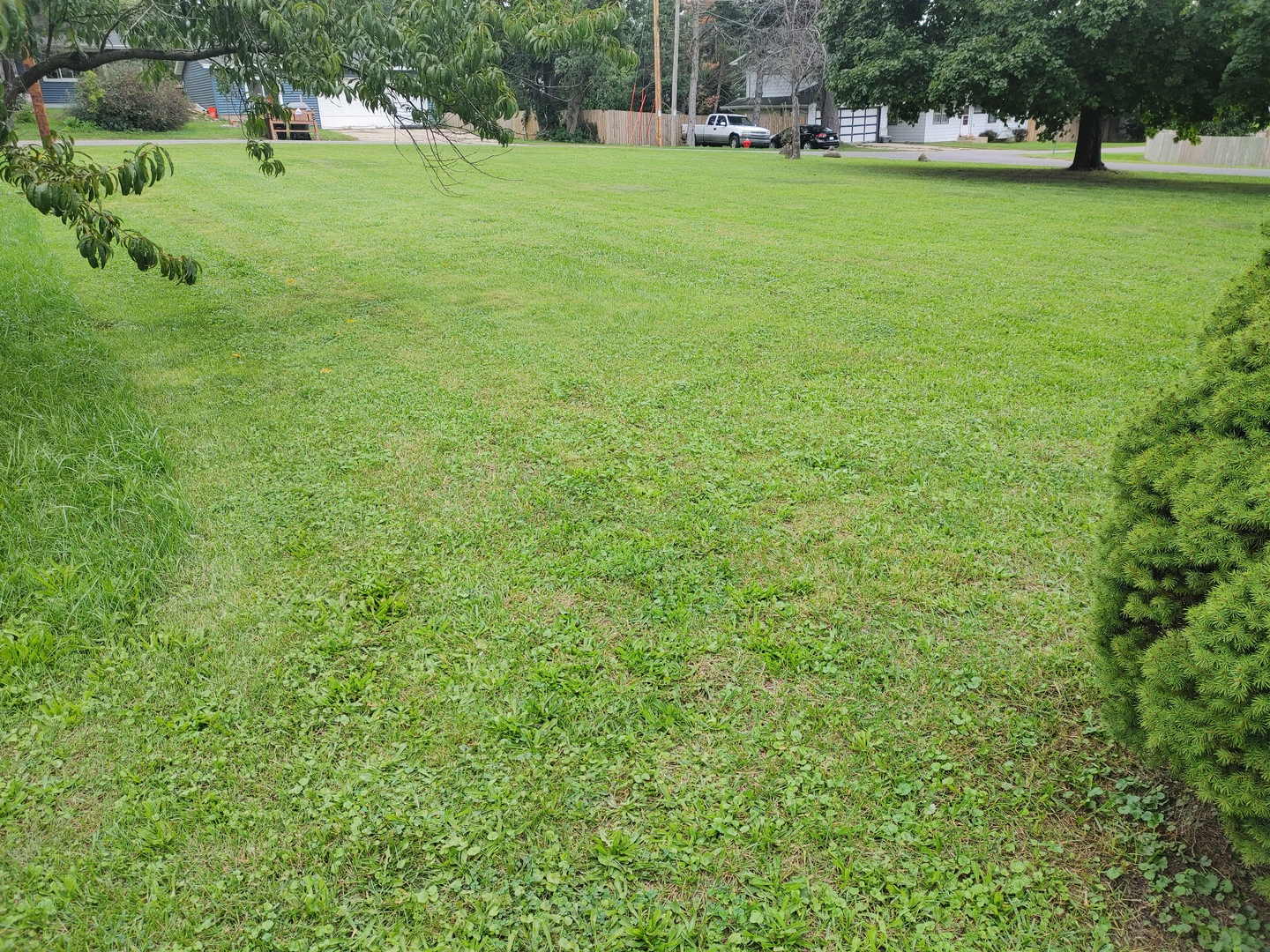Lot 2 Pine Road Property Photo 3