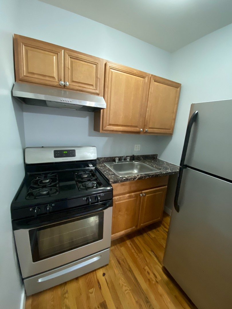 7456 N Greenview Avenue 3a Property Photo 4