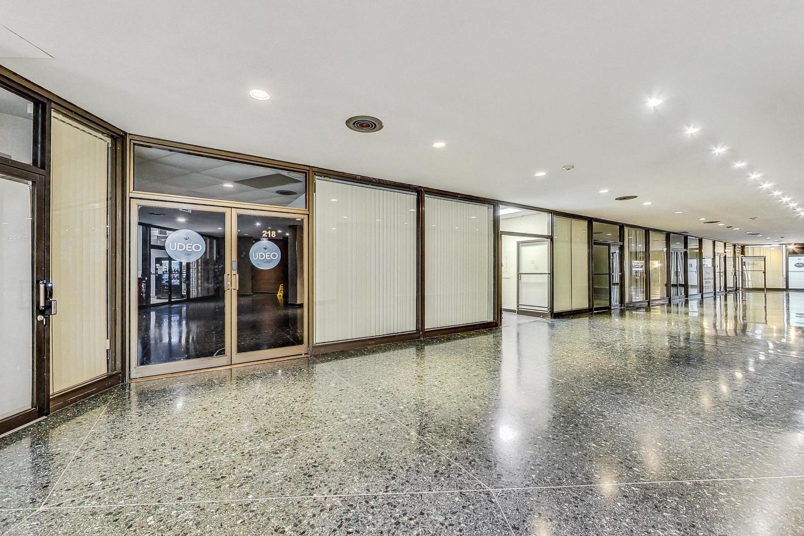 505 N Lake Shore Drive 2610 Property Photo 49