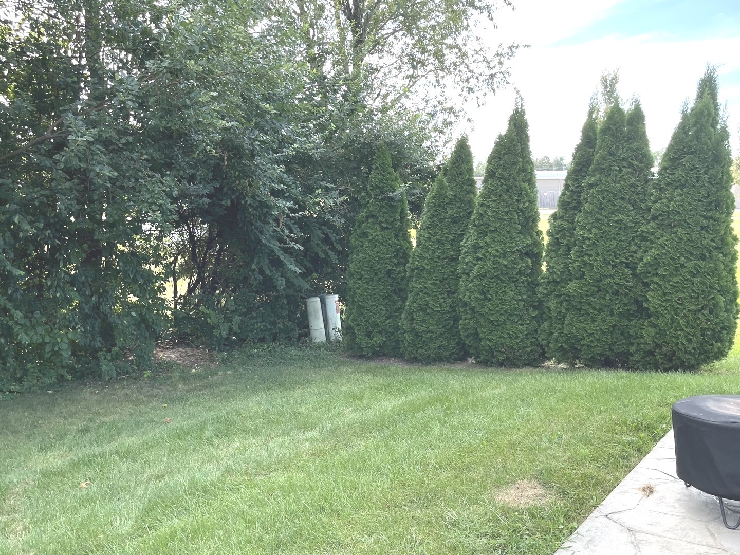 843 Winchester Green Drive Property Photo 2