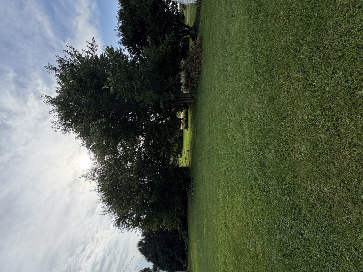 404 Maple Avenue Property Photo 2