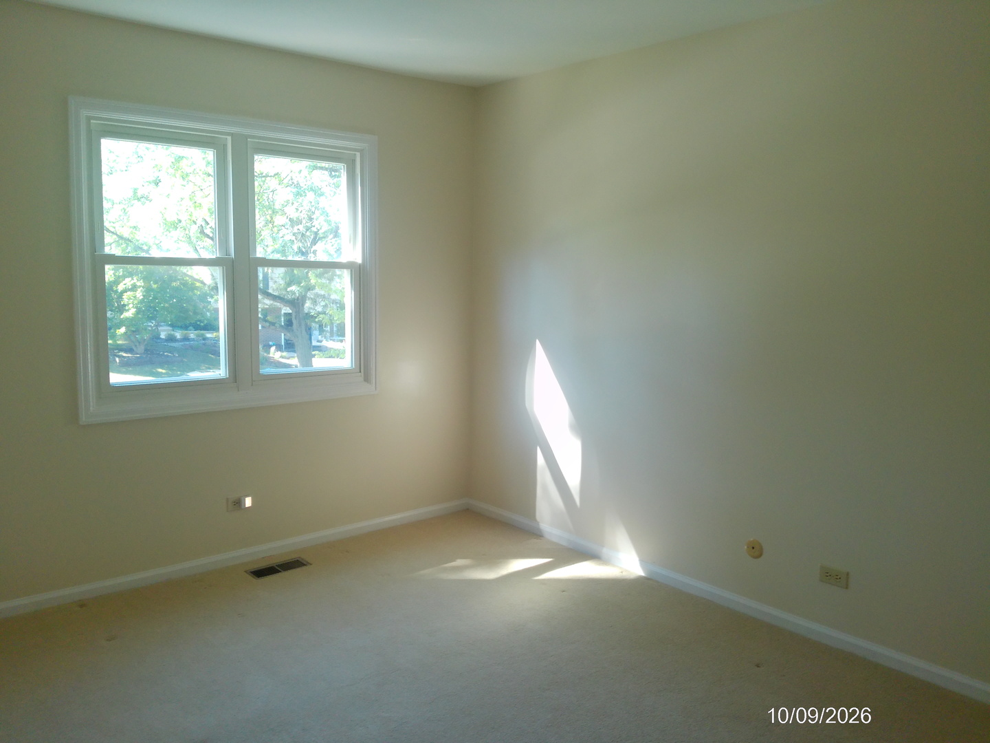 291 Hill Avenue Property Photo 6