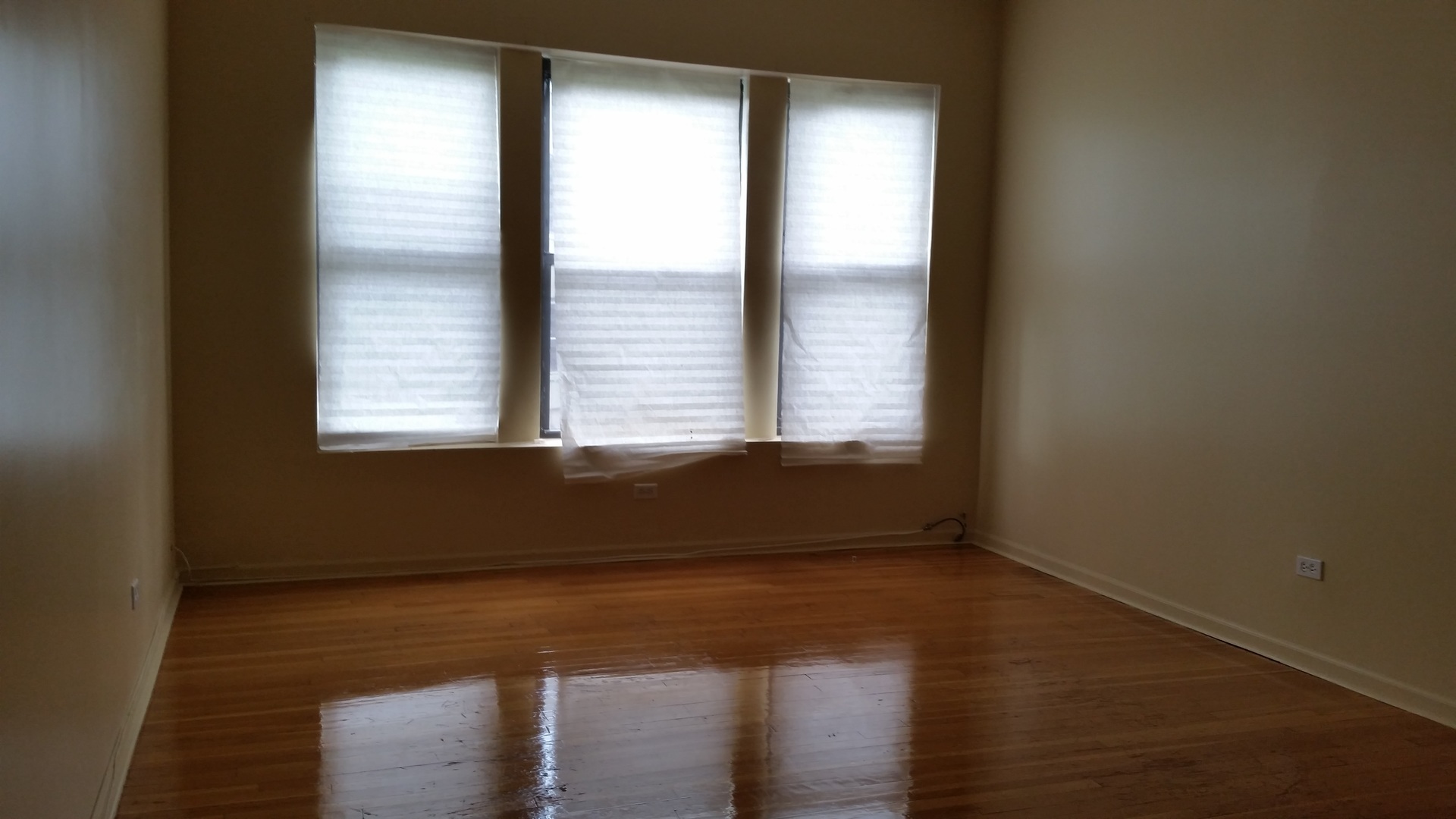 6342 S Kenwood Avenue 3s Property Photo 4