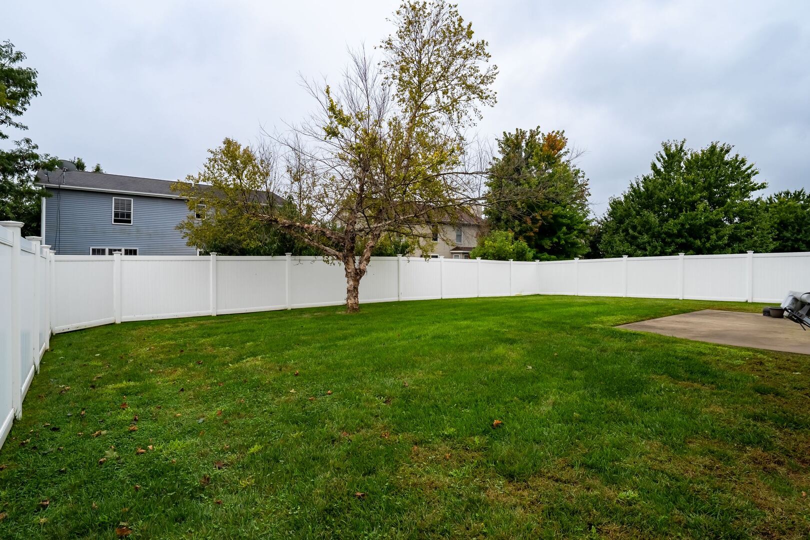 2961 Three Eagles Street Property Photo 7