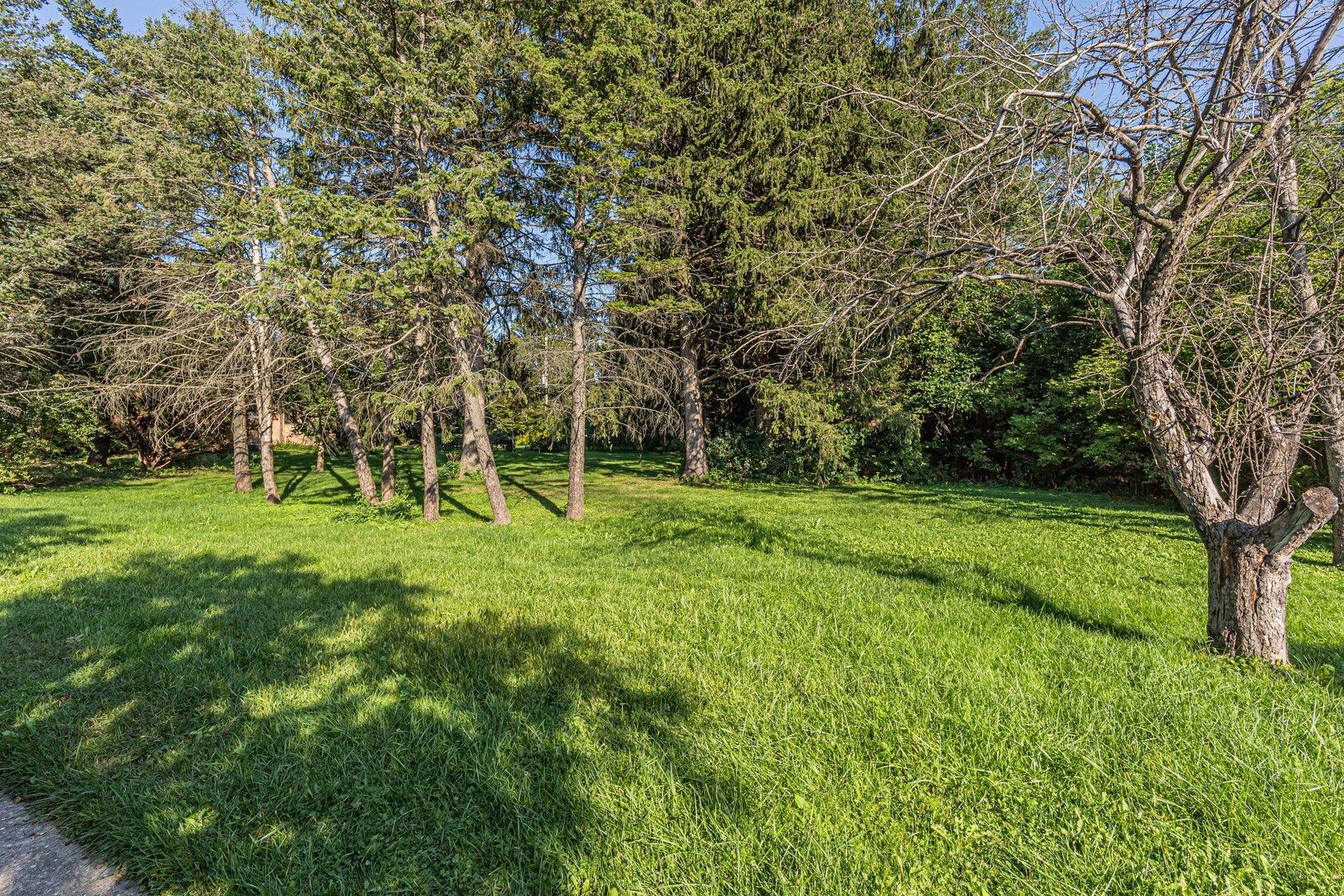 1324 Fredrickson Place Property Photo 33