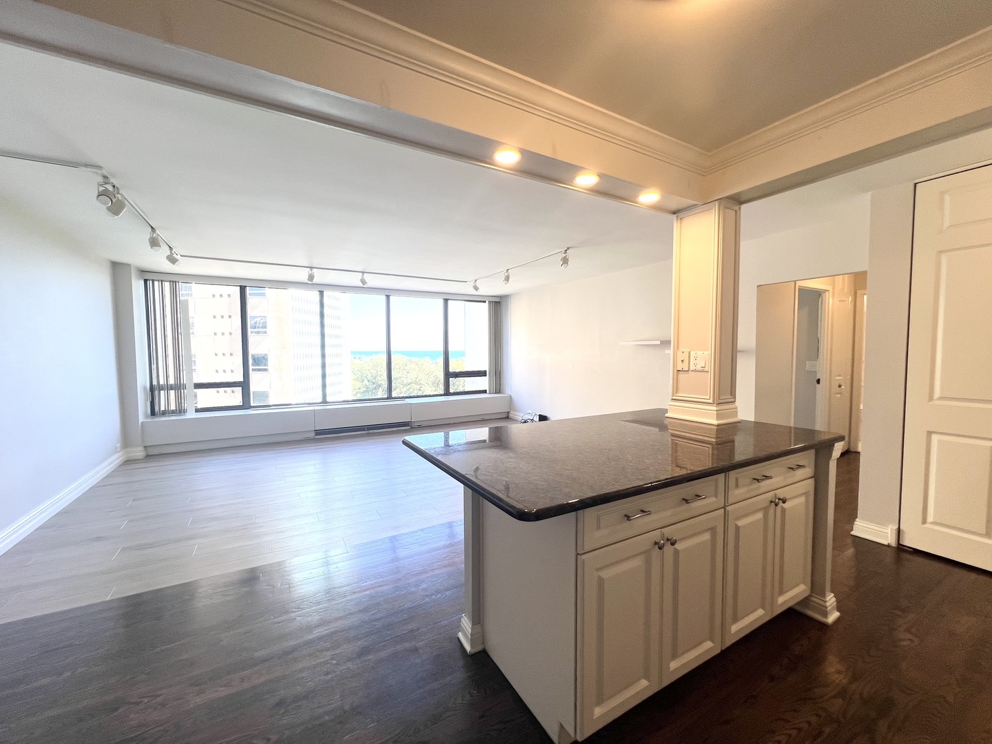 2800 N Lake Shore Drive 1003 Property Photo 5