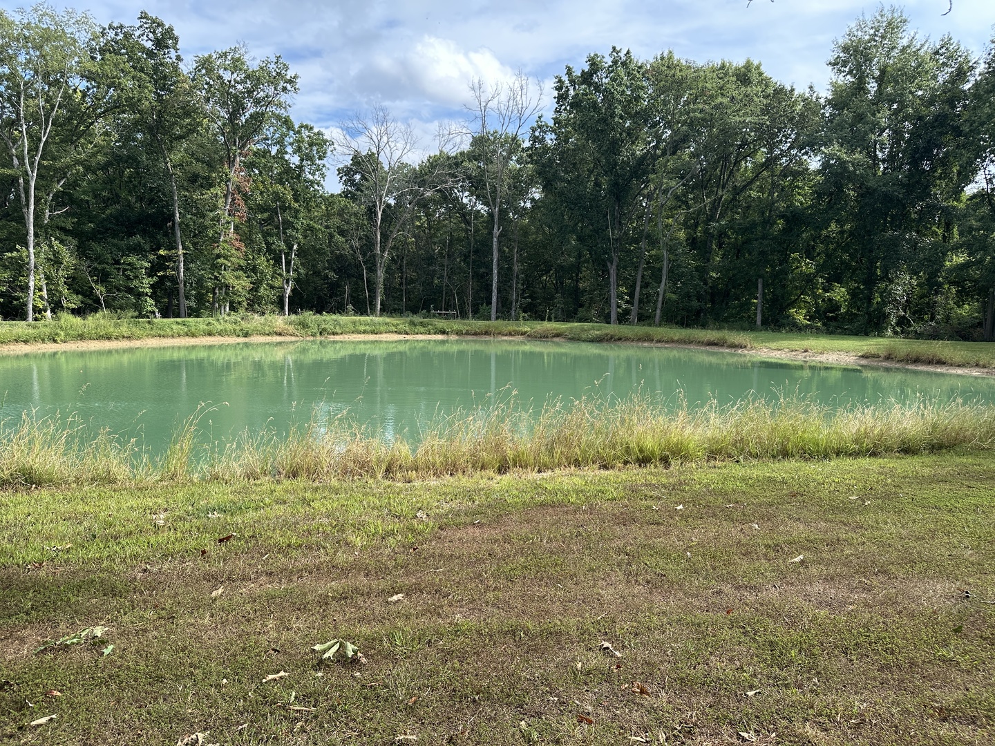 348 State Rte 37 Route Property Photo 12