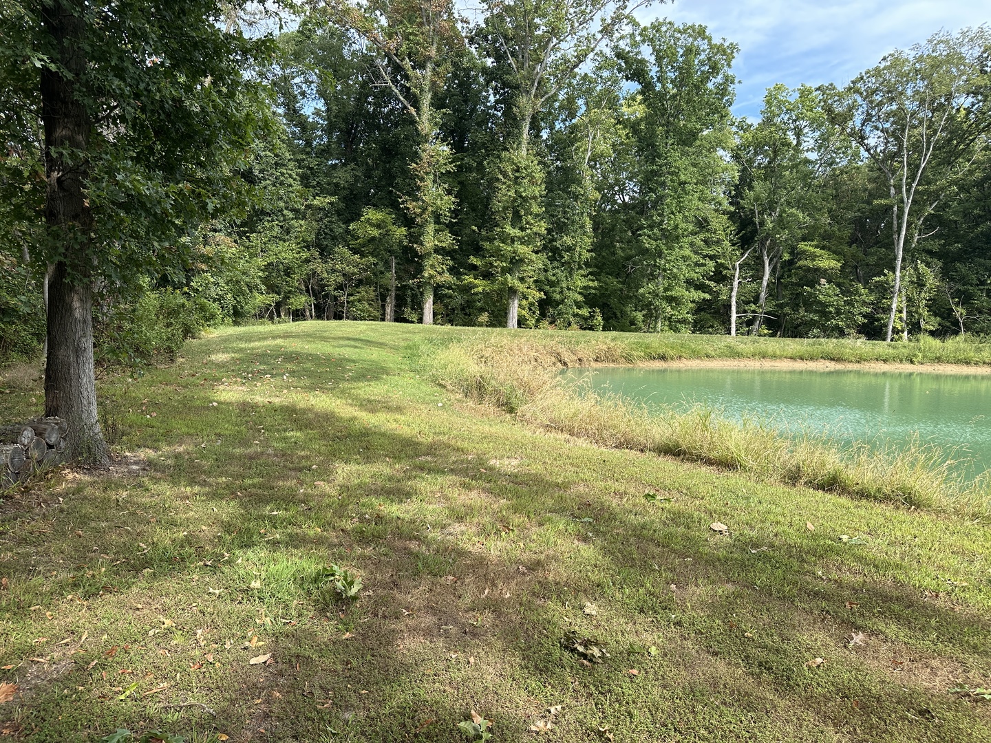 348 State Rte 37 Route Property Photo 13