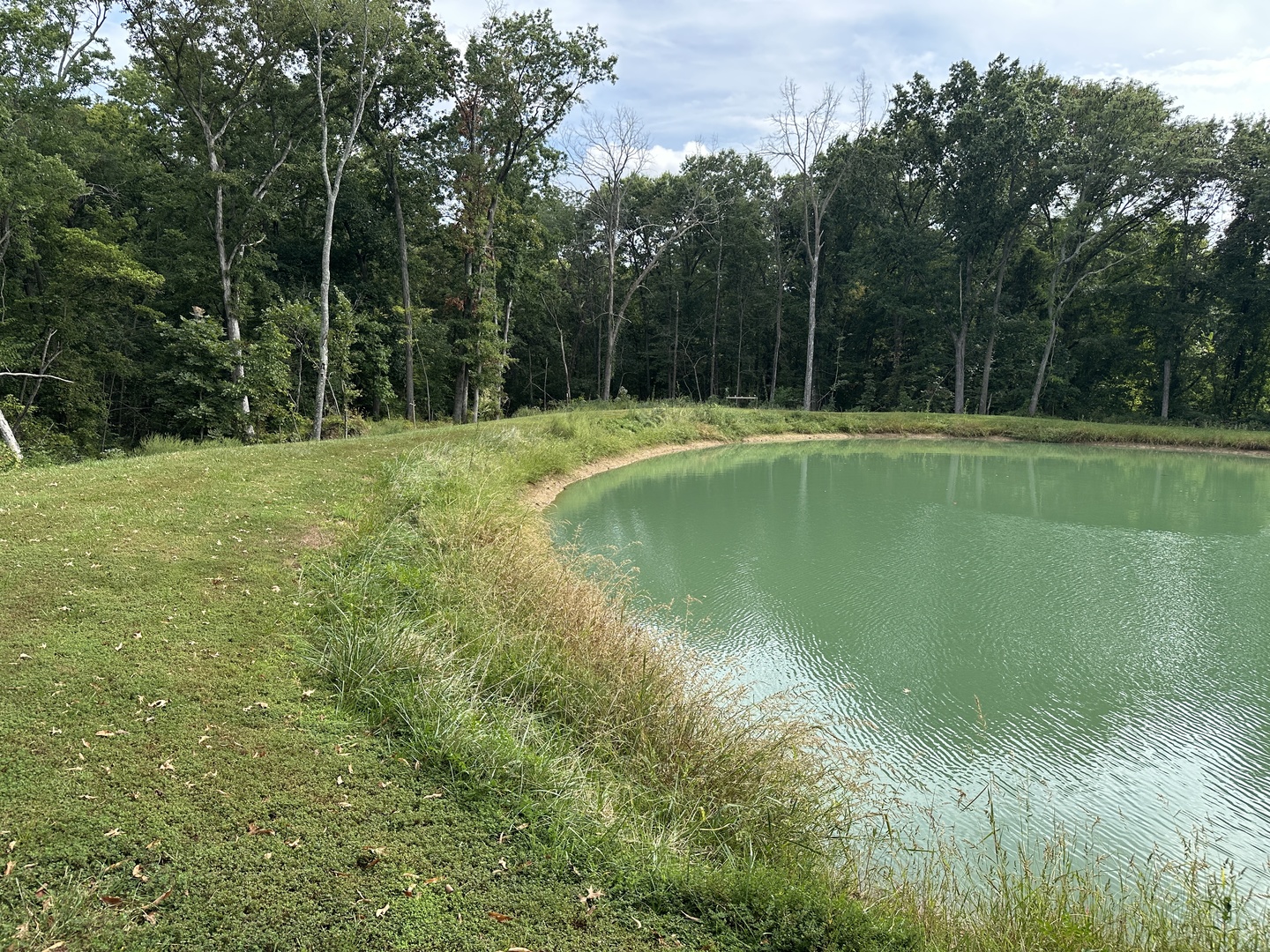 348 State Rte 37 Route Property Photo 15