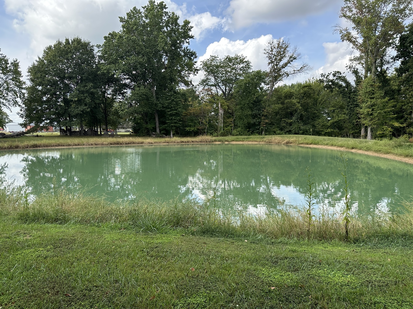 348 State Rte 37 Route Property Photo 17