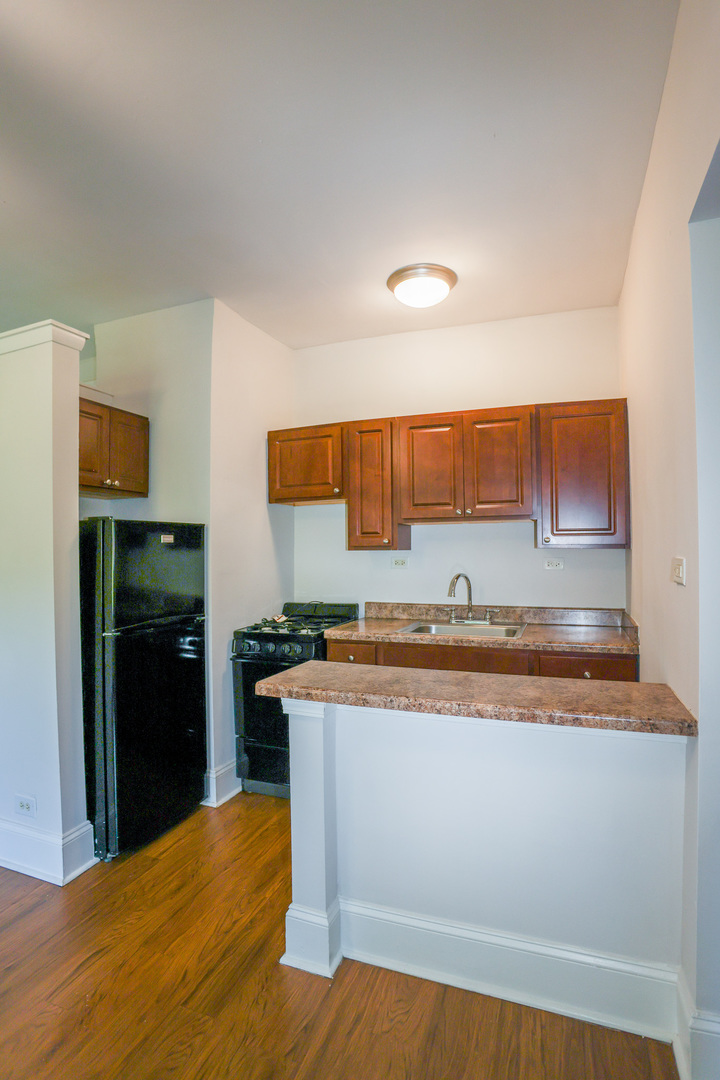 5326 S Cornell Avenue 508 Property Photo 5