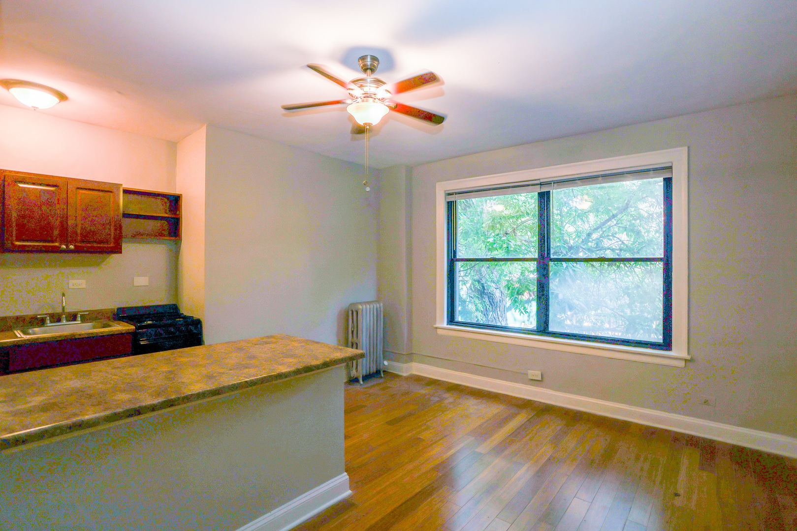 5326 S Cornell Avenue 410 Property Photo 4