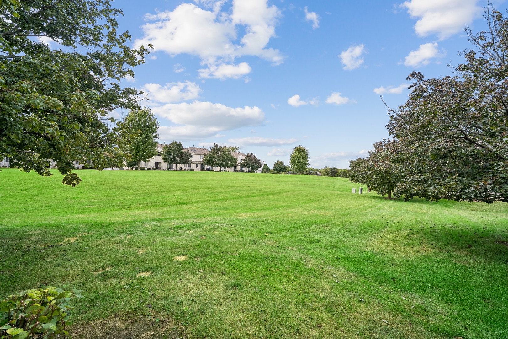 1446 Meadowsedge Lane Property Photo 3