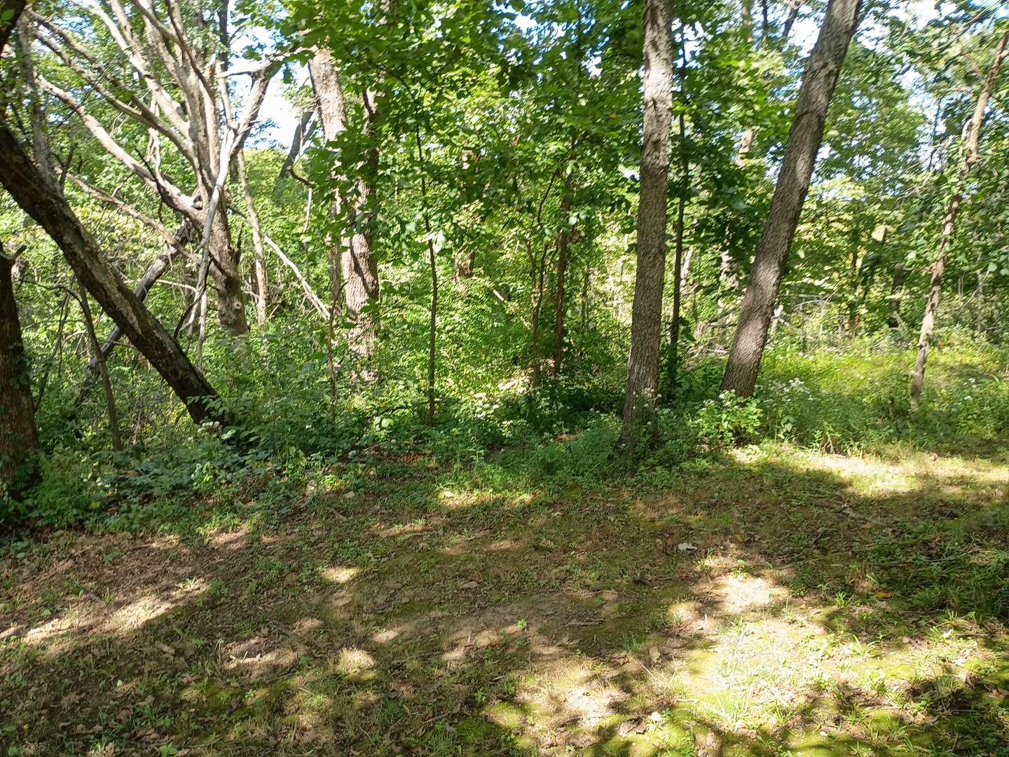 15322 20th Street Court Property Photo 17