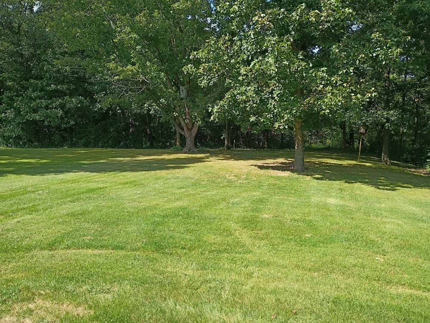 15322 20th Street Court Property Photo 18