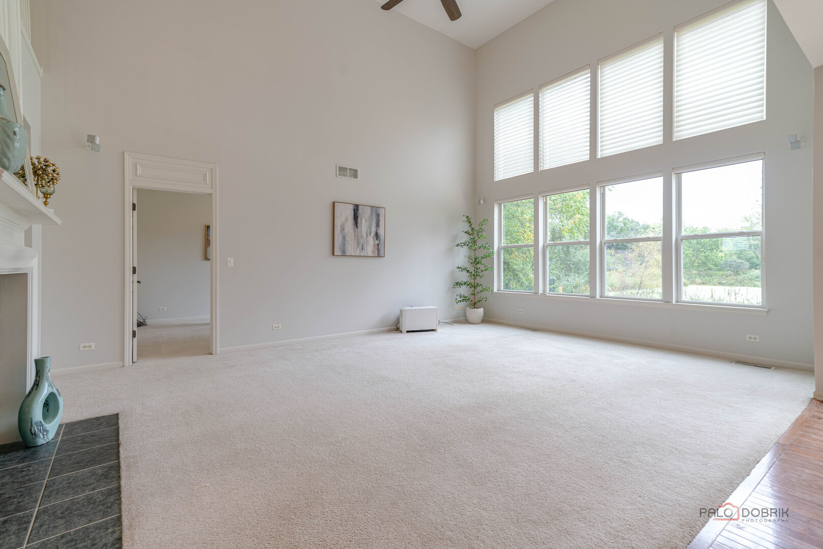 1575 Mcclellan Drive Property Photo 14
