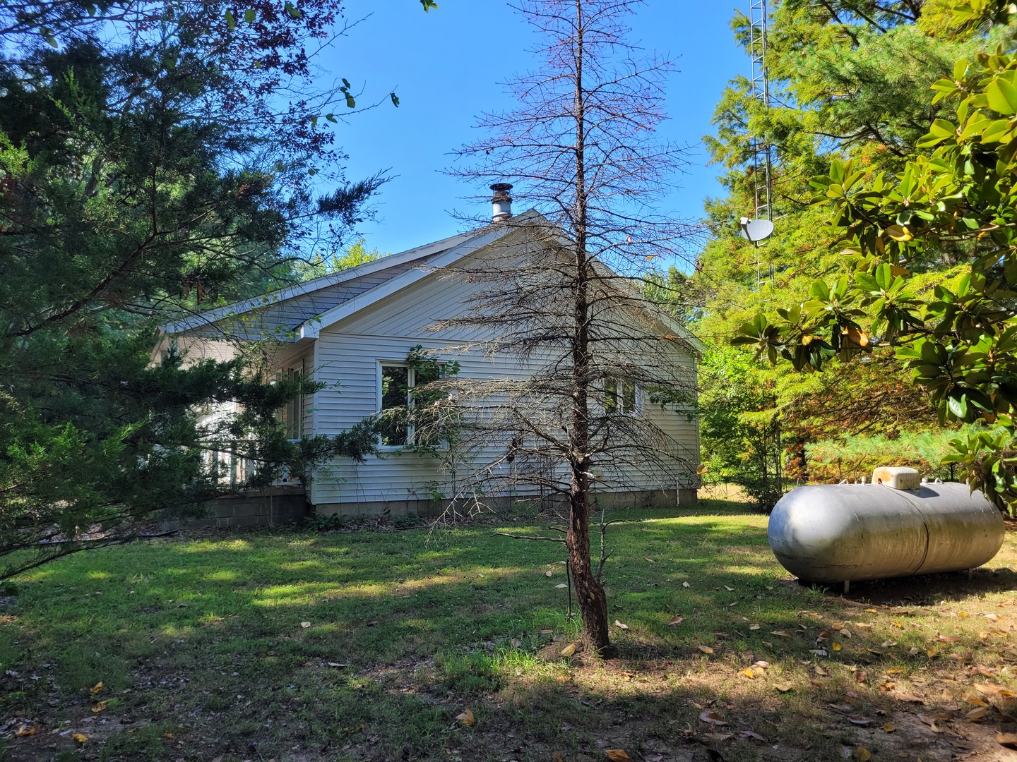 11978 E Bunny Farm Road Property Photo 4