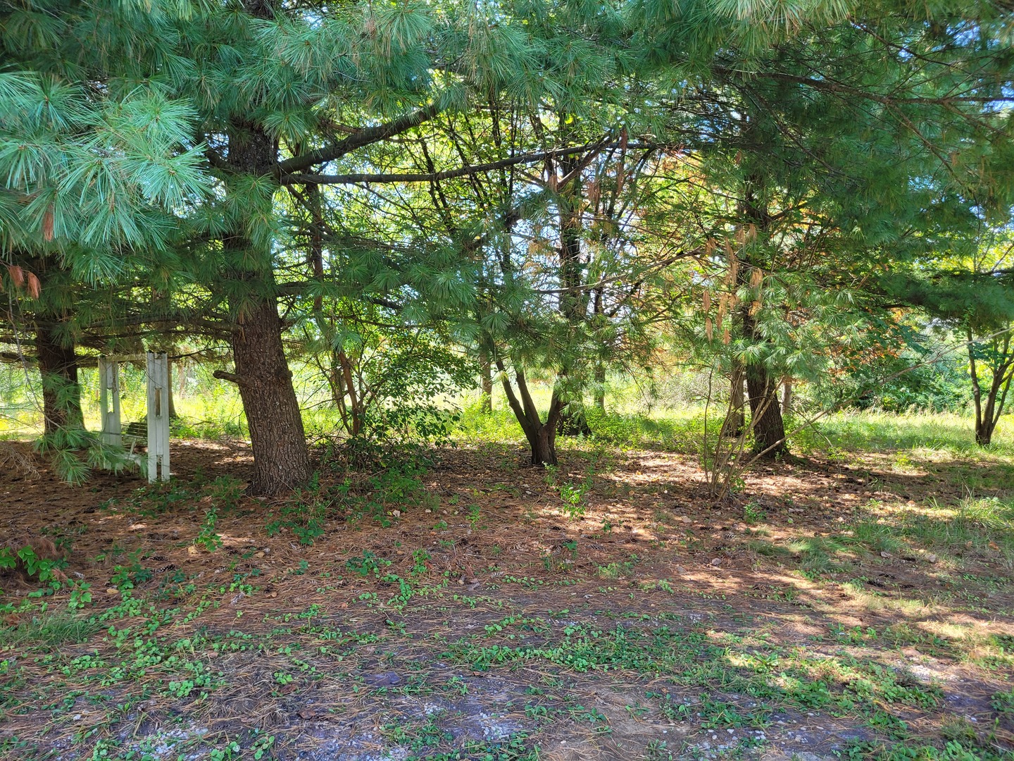 11978 E Bunny Farm Road Property Photo 9