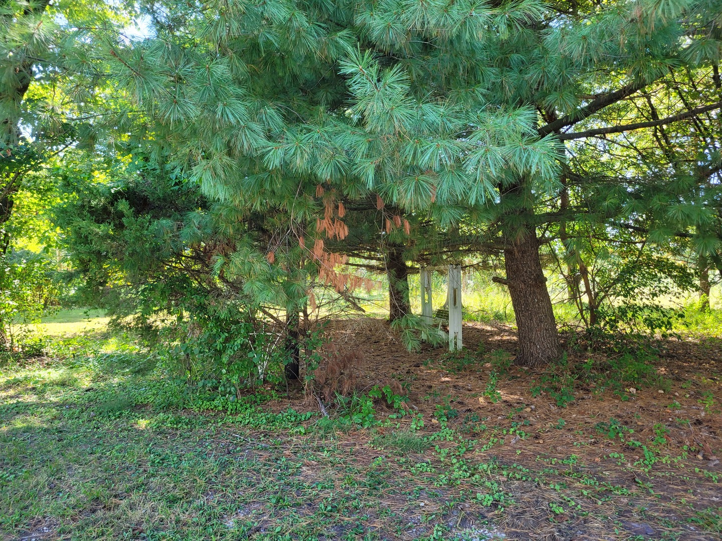 11978 E Bunny Farm Road Property Photo 10