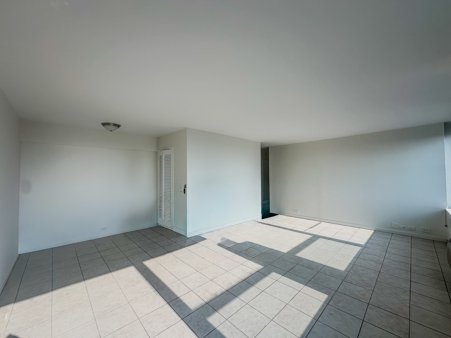 1255 N Sandburg Terrace 2403 Property Photo 14