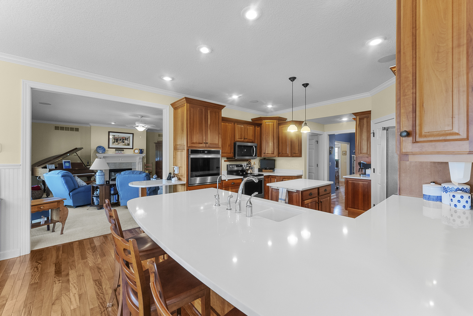1555 Crimson King Court Property Photo 22