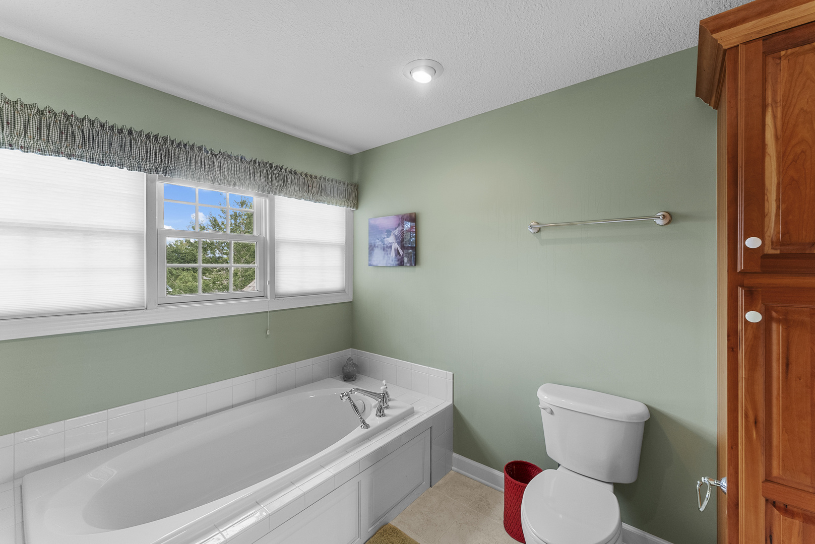 1555 Crimson King Court Property Photo 63