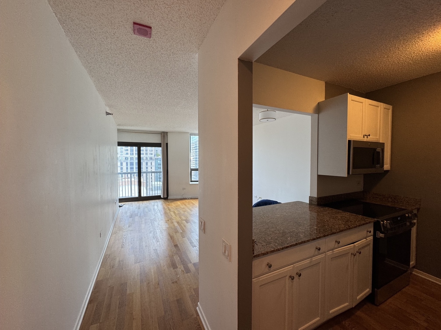 400 N Lasalle Drive 1303 Property Photo 12