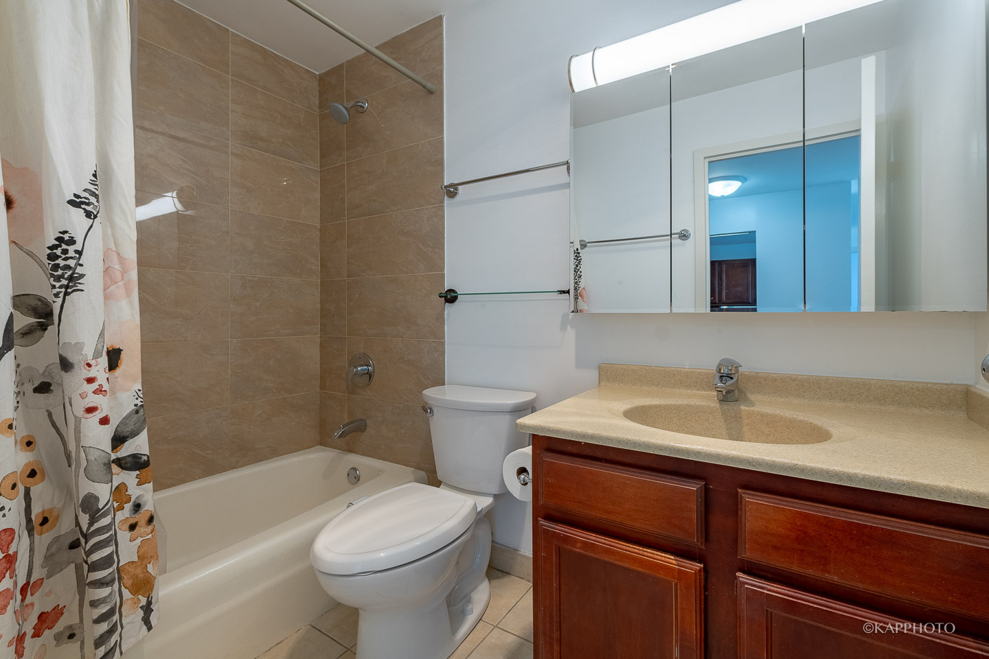 525 W Hawthorne Place 1601 Property Photo 17