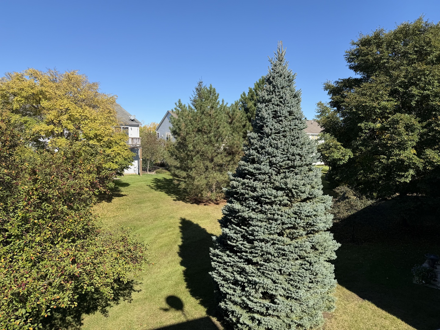 1226 Chesterton Drive Property Photo 10