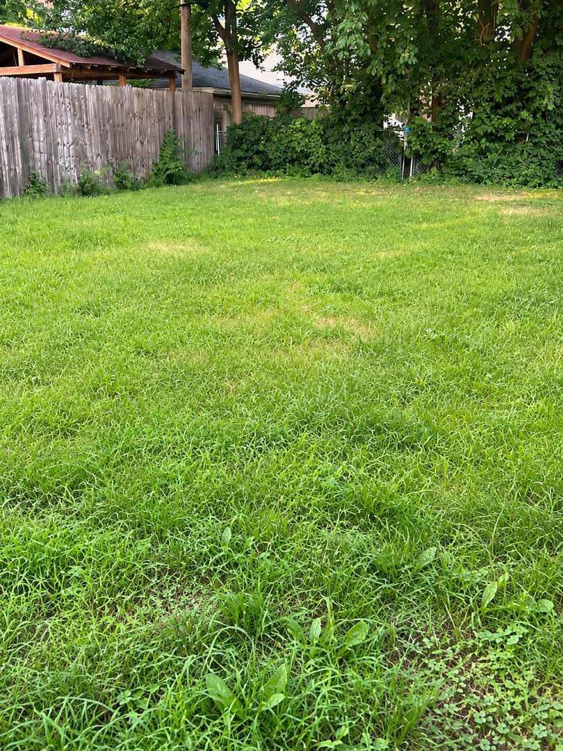331 23rd Avenue Property Photo 13