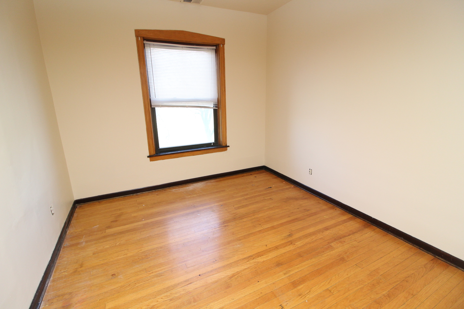 1728 W Juneway Terrace 1e Property Photo 4