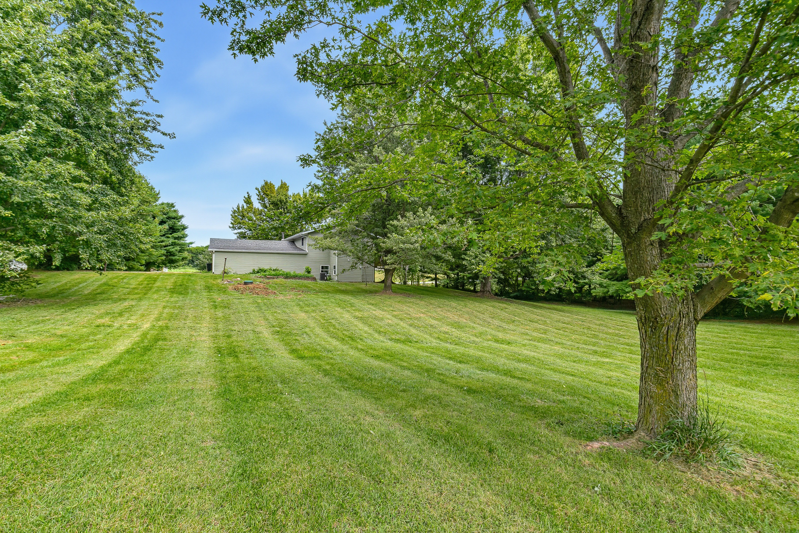5195 306th Street Property Photo 8