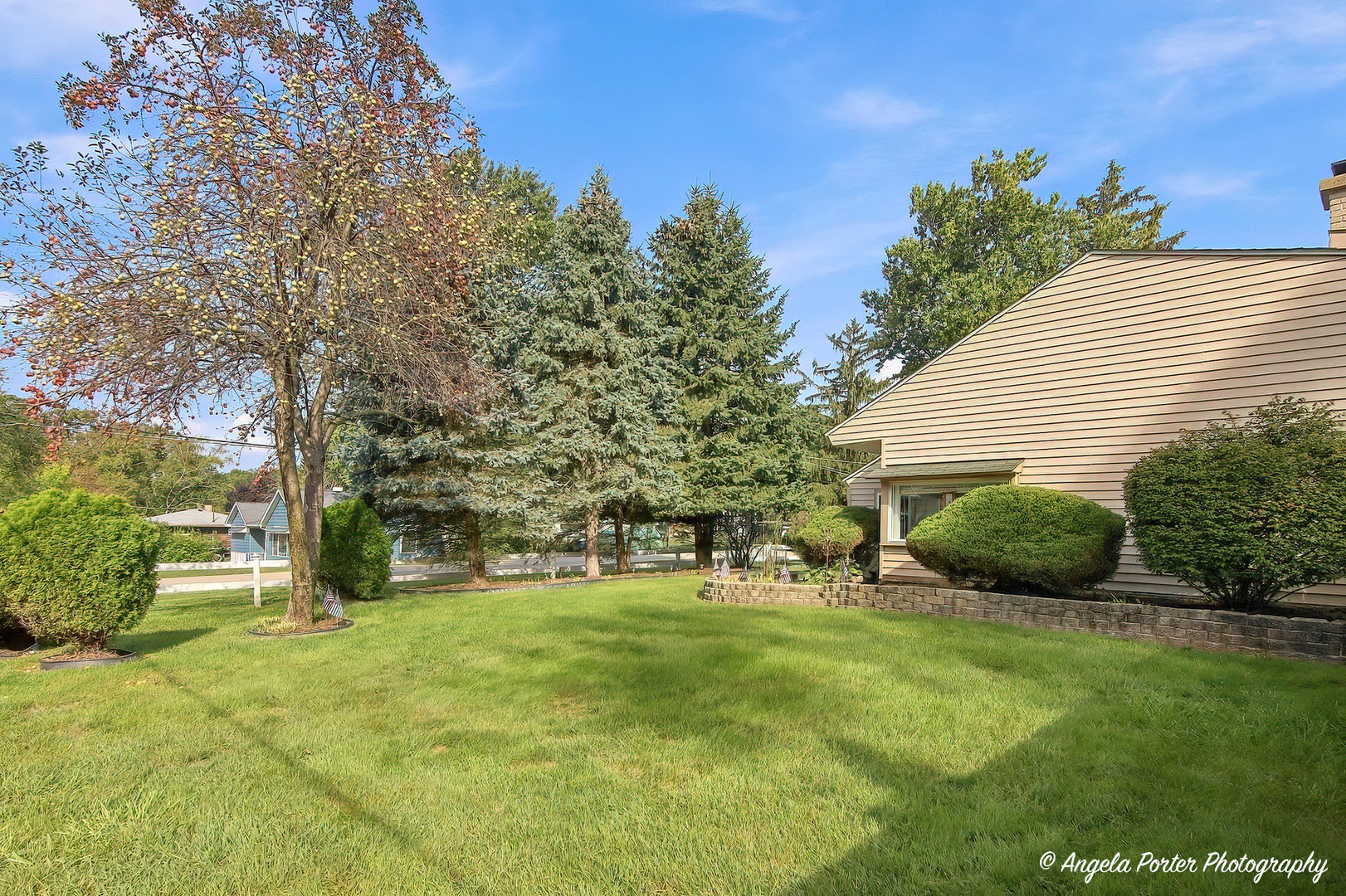 10238 W Wadsworth Road Property Photo 4