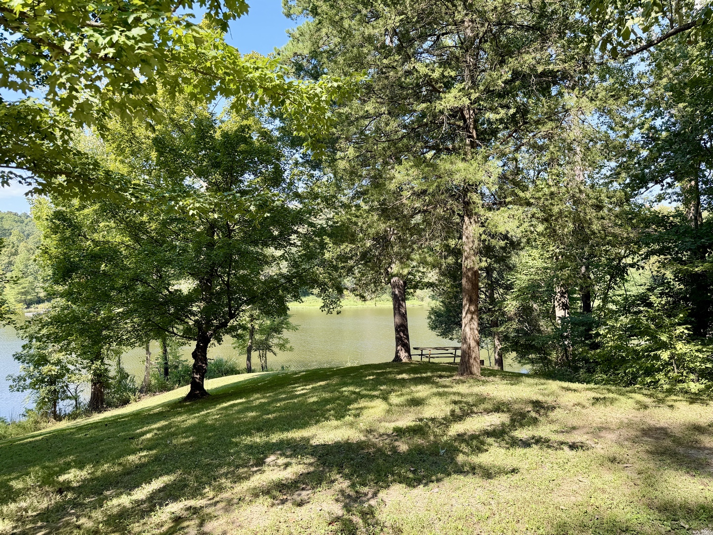 378 Contentment Road Property Photo 58