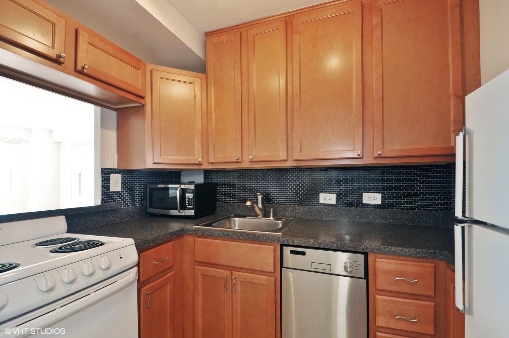 2909 N Sheridan Road 703 Property Photo 5