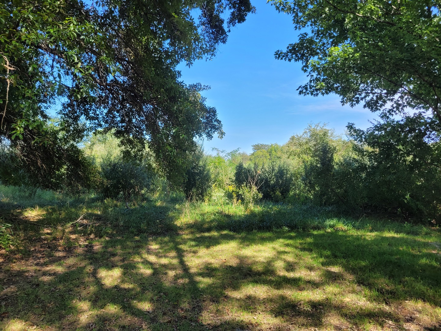 000 E Bunny Farm Road Property Photo 1