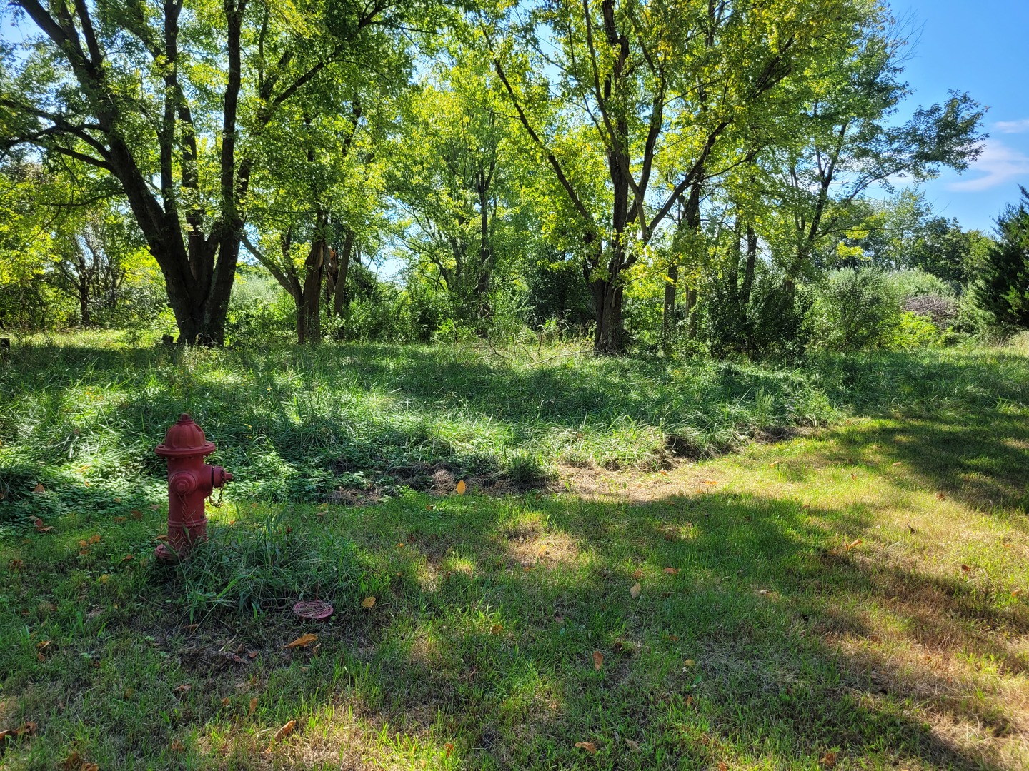 000 E Bunny Farm Road Property Photo 2
