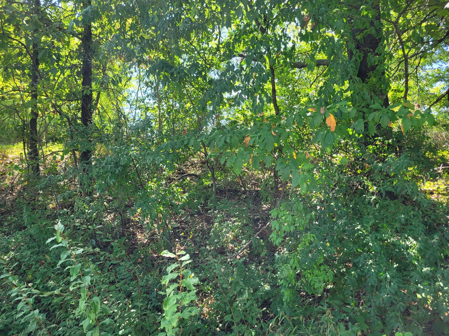 000 E Bunny Farm Road Property Photo 3