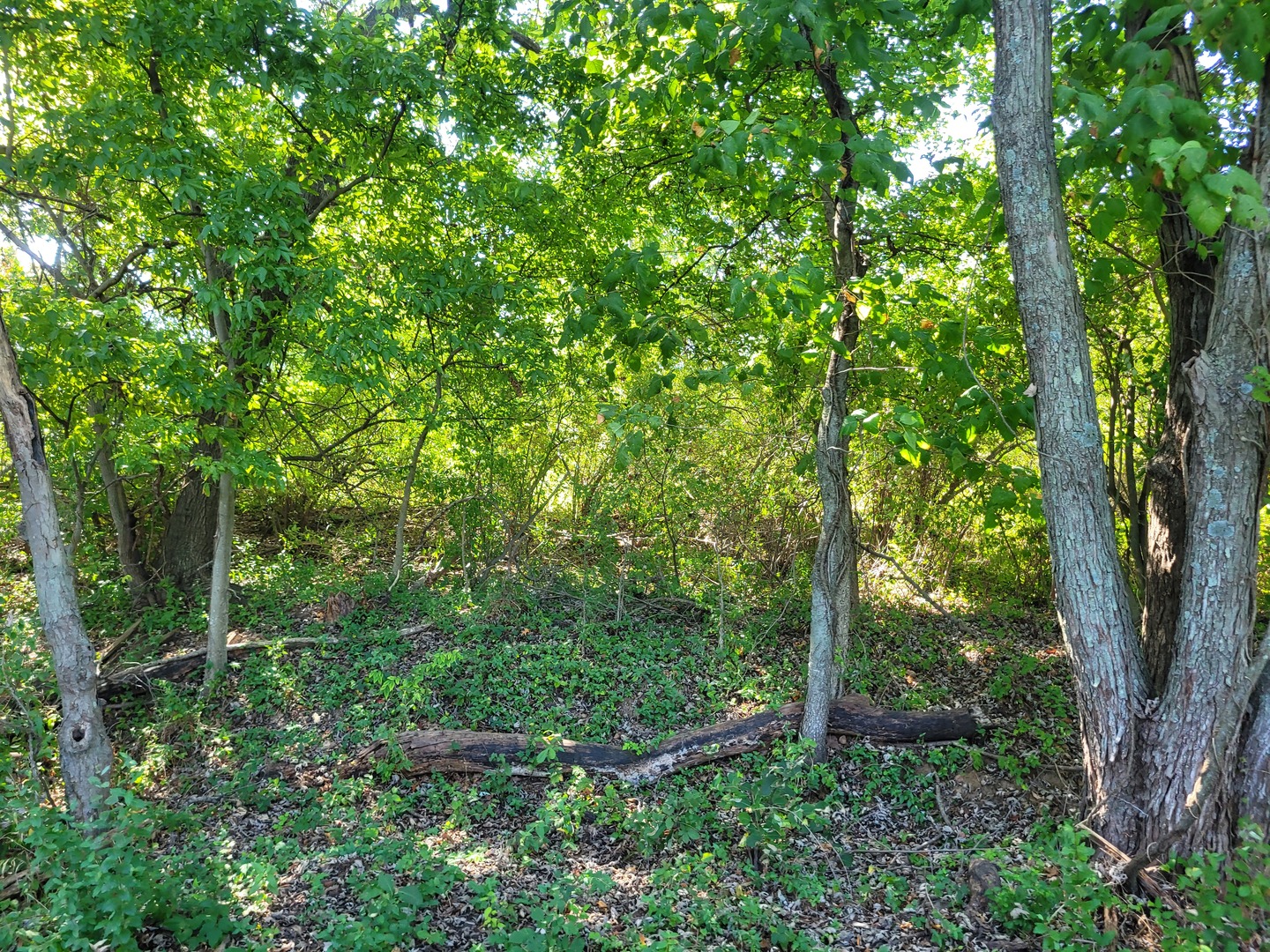000 E Bunny Farm Road Property Photo 4