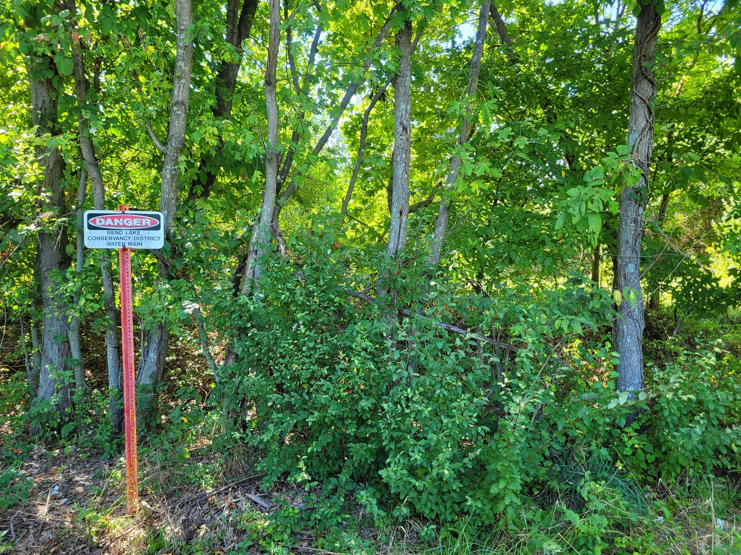 000 E Bunny Farm Road Property Photo 5