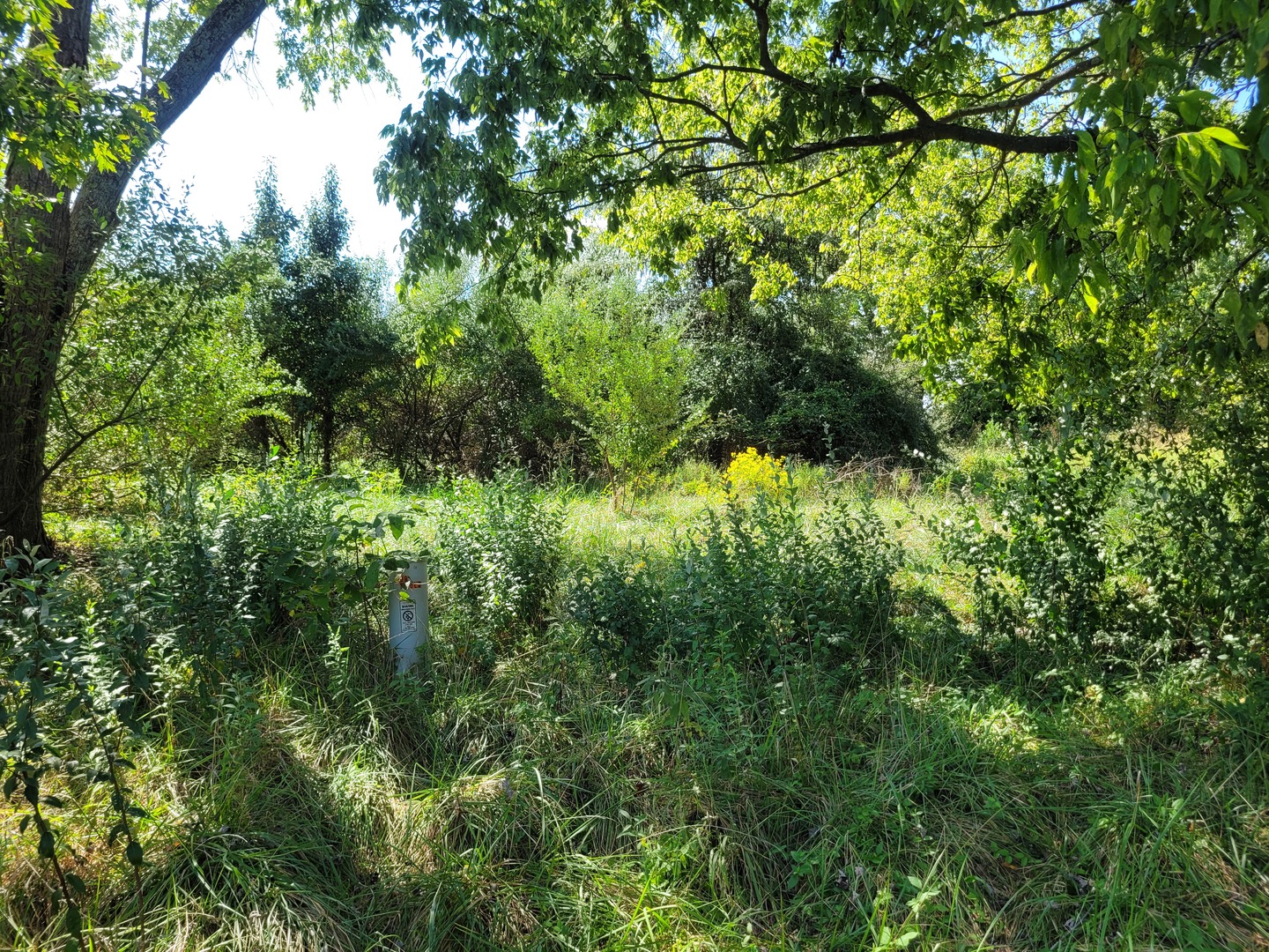 000 E Bunny Farm Road Property Photo 6