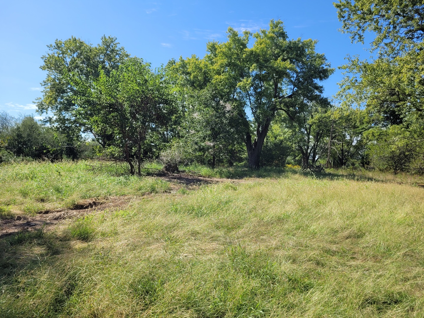 000 E Bunny Farm Road Property Photo 7