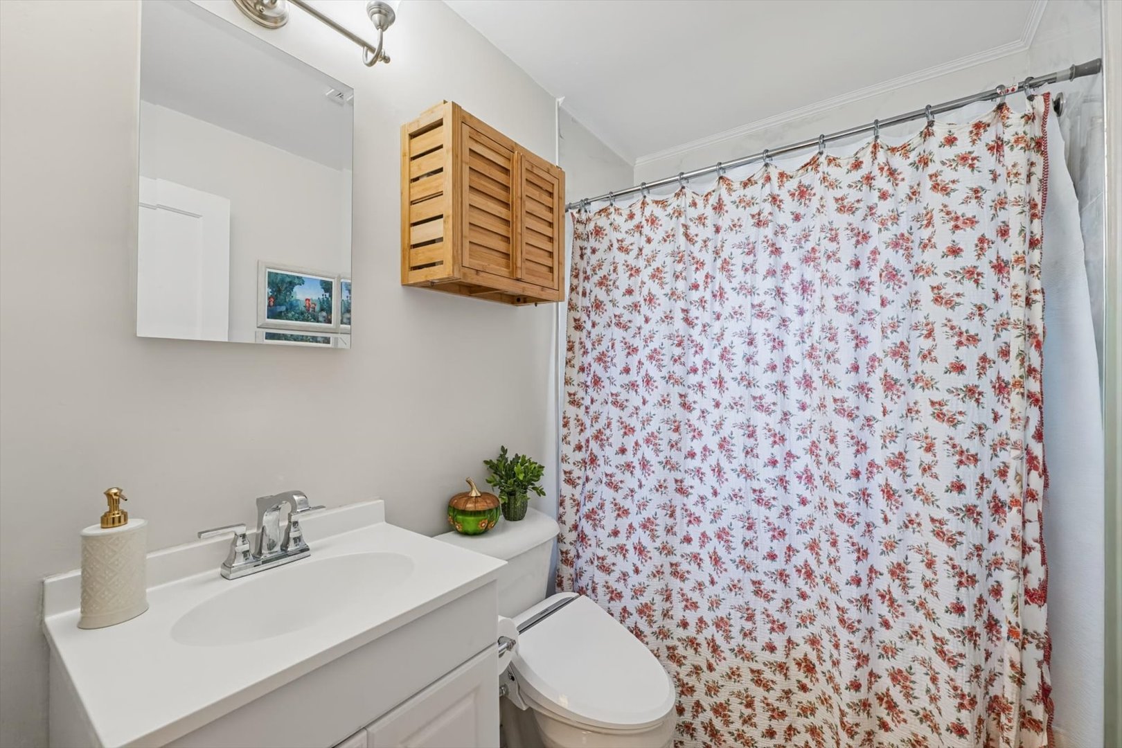 1509 W Clark Street Property Photo 22