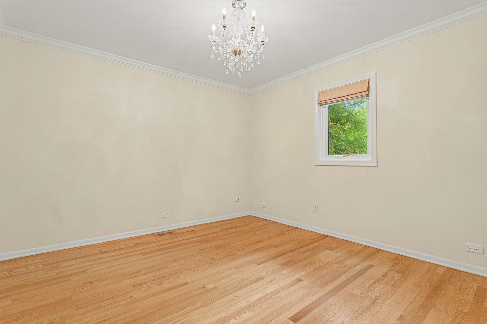 61 Timberlake Road Property Photo 14