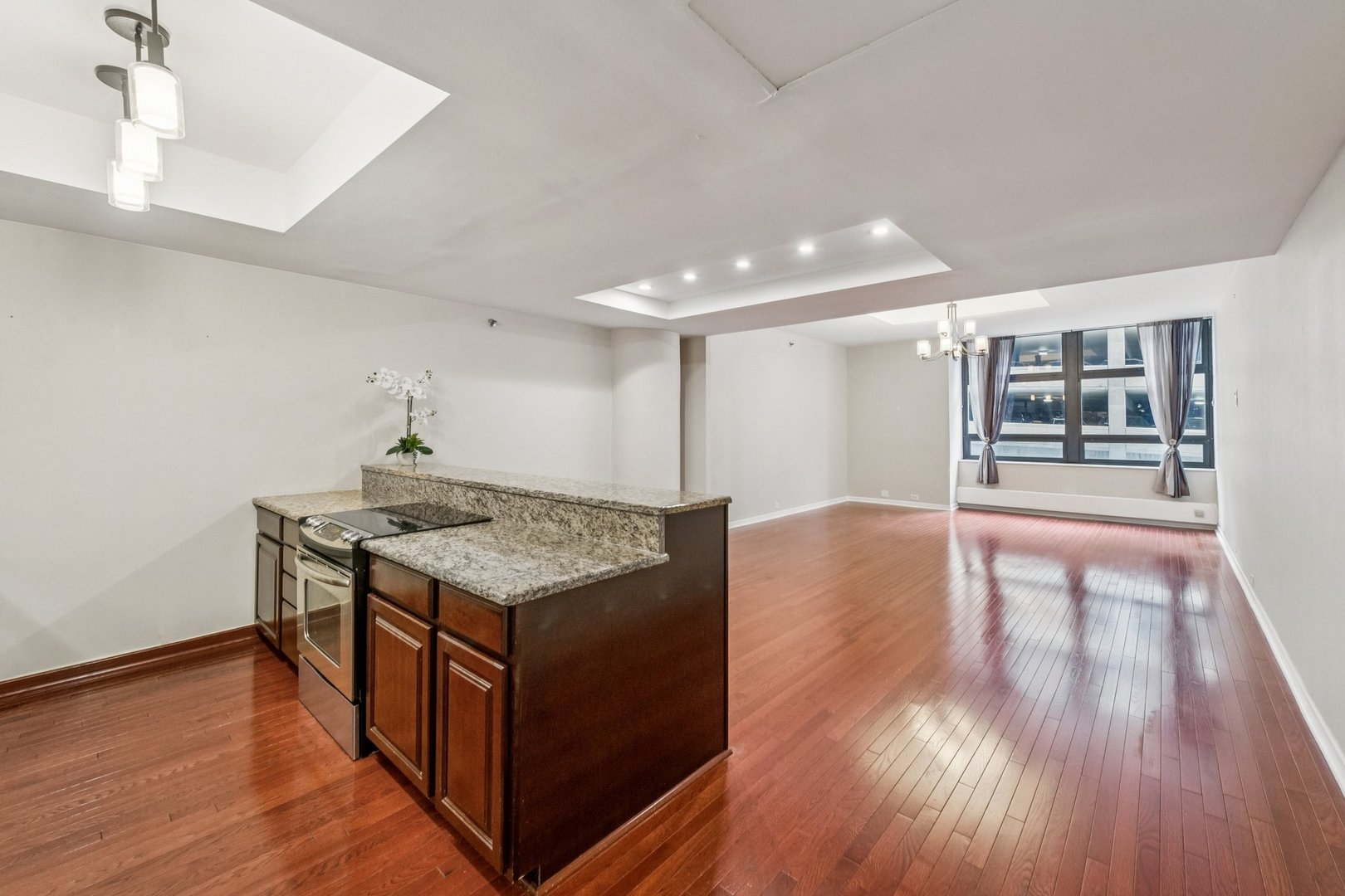 680 N Lake Shore Drive 317 Property Photo 4